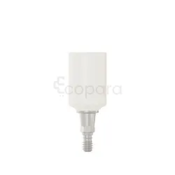 PARTIE SECONDAIRE PRO PEEK 6.0X0.8MM REFERENCE 114536