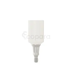 PARTIE SECONDAIRE PRO PEEK 6.0X1.5MM REFERENCE 114537
