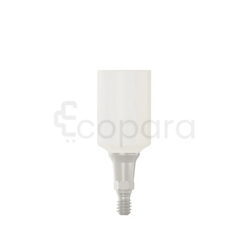 PARTIE SECONDAIRE PRO PEEK 6.0X1.5MM REFERENCE 114537