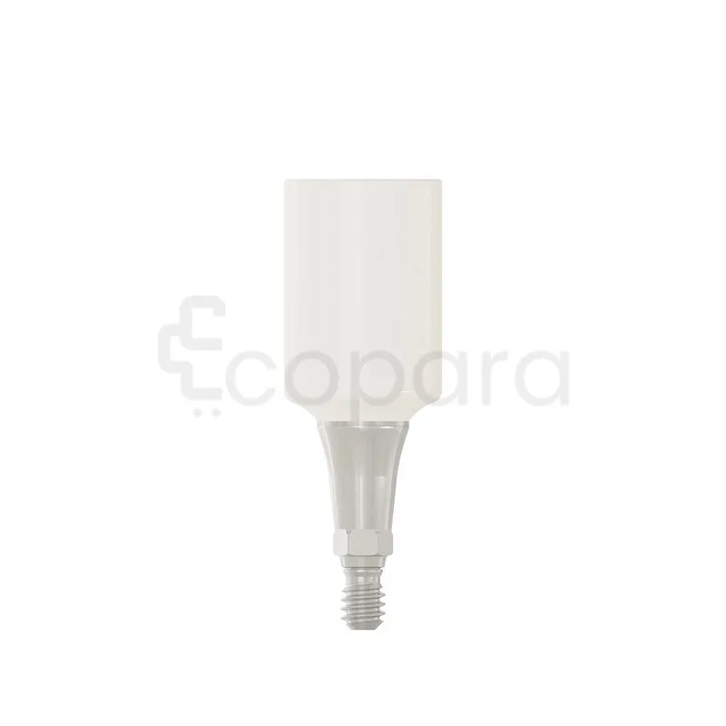 PARTIE SECONDAIRE PRO PEEK 6.0X2.5MM REFERENCE 114538