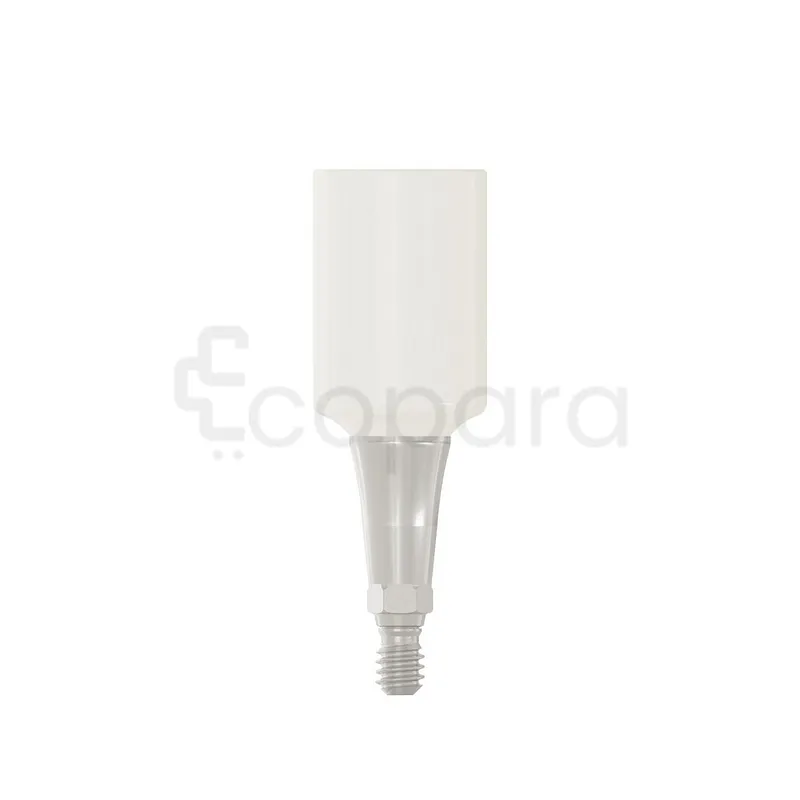 PARTIE SECONDAIRE PRO PEEK 6.0X3.5MM REFERENCE 114539