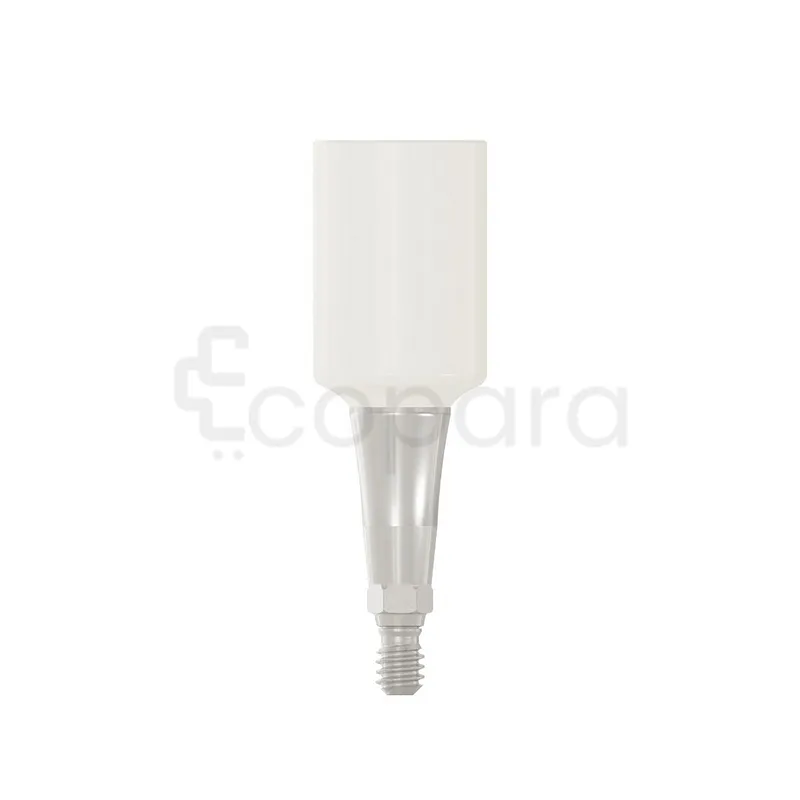 PARTIE SECONDAIRE PRO PEEK 6.0X4.5MM REFERENCE 114540