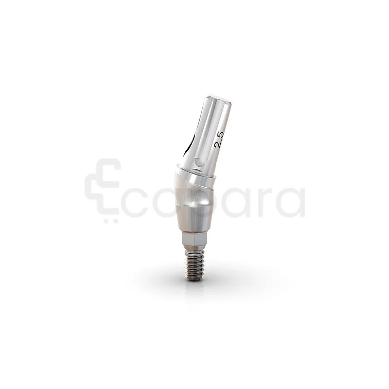 ANATOMIQUE CLICK EXACT 17 3.3*6*2.5MM PARTIES SECONDAIRE GM REF 114.546