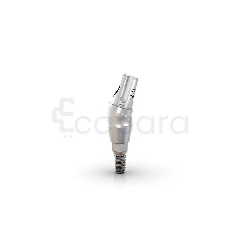 ANATOMIQUE CLICK EXACT 17 4.5*6*2.5MM PARTIES SECONDAIRE GM REF 114.552