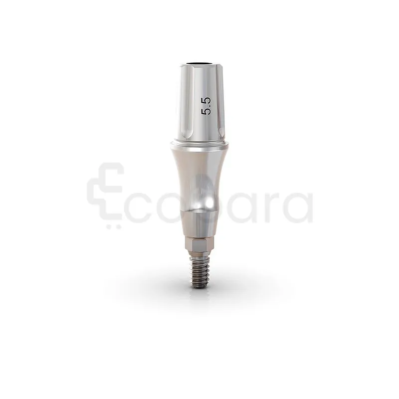 ANATOMIQUE CLICK EXACT 4.5*4*3.5MM PARTIES SECONDAIRE GM REF 114.581