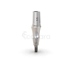 ANATOMIQUE CLICK EXACT 4.5*6*4.5MM PARTIES SECONDAIRE GM REF 114.588