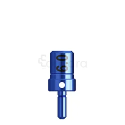 INDICATEUR DE DIRECTION WS TITANE 5.3 6.0MM INSTRUMENTS DE PROCÉDURE IMPLANTAIRE RÉF 128.025