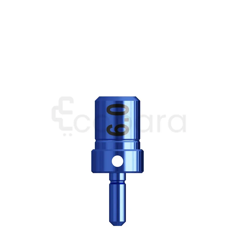 INDICATEUR DE DIRECTION WS TITANE 5.3 6.0MM INSTRUMENTS DE PROCÉDURE IMPLANTAIRE RÉF 128.025