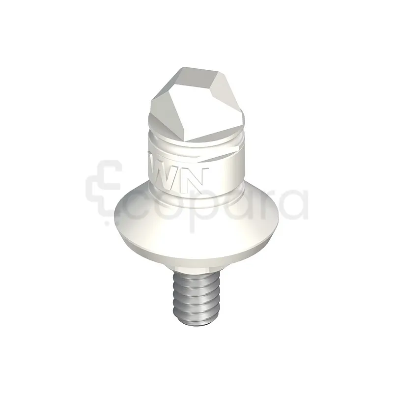 WN STRAUMANN CORPS DE SCANNAGE COMPRENANT VIS DE FIXATION POUR LES SCANNERS STRAUMANN CARES ES1 ET STRAUMANN CARES SCAN CS2 JUSQU'À LA VERSION LOGICIELLE CAR ES VISUAL 6.2 8,9MM PEEK TI REFERENCE 048.
