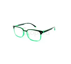 PROTEC VISION LUNETTES PRESBYTIE SALAMANDRA +1.00 GREEN