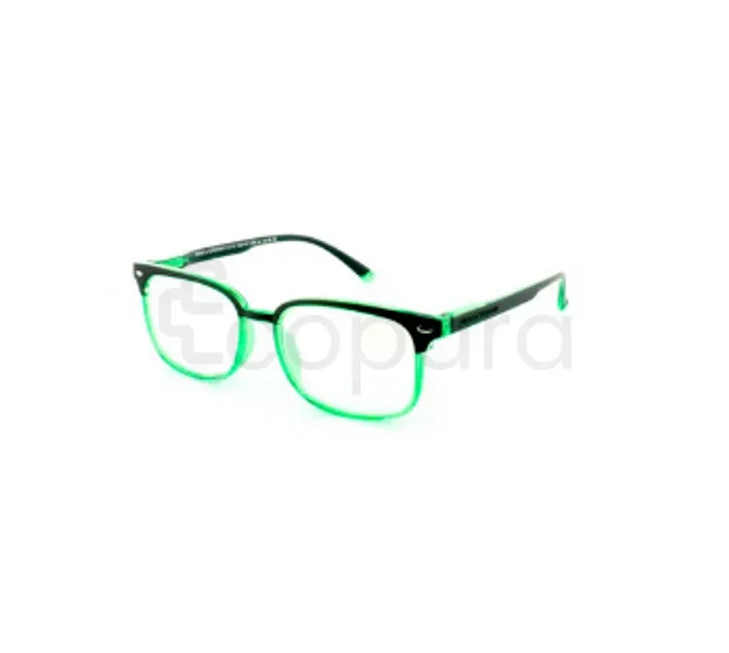 PROTEC VISION LUNETTES PRESBYTIE SALAMANDRA +1.00 GREEN