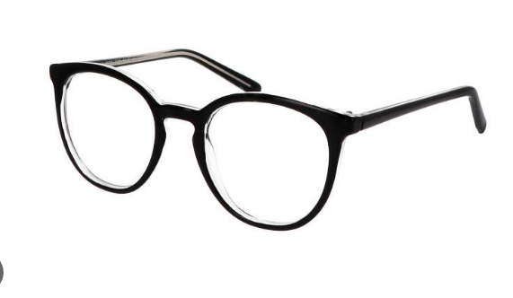 PROTEC VISION LUNETTES PRESBYTIE SALAMANDRA +1.00 BLACK