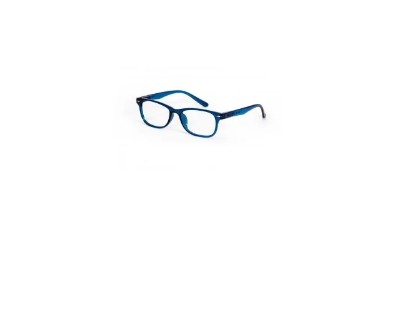 PROTEC VISION LUNETTES PRESBYTIE SALAMANDRA +01.00 BLUE
