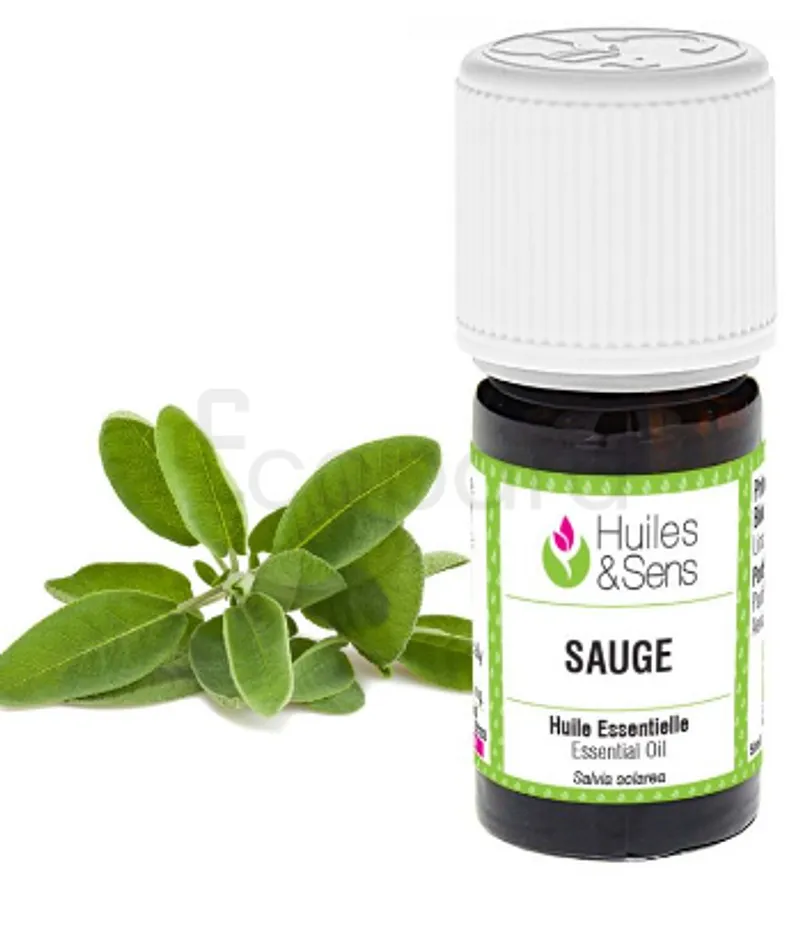 FLORE ET SENS HUILE ESSENTIELLE DE SAUGE SCLAREE 15ML
