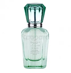 GABRINI INLOVE PARFUM 02