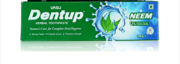 VASU DENTUP DENTIFRICE HERBAL TOOTHPASTE 100G