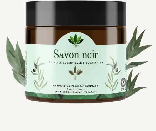 LOTUS BIO SAVON NOIR A L'EUCALYPTUS 250G