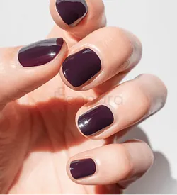 KAMARKA VERNIS FELINE