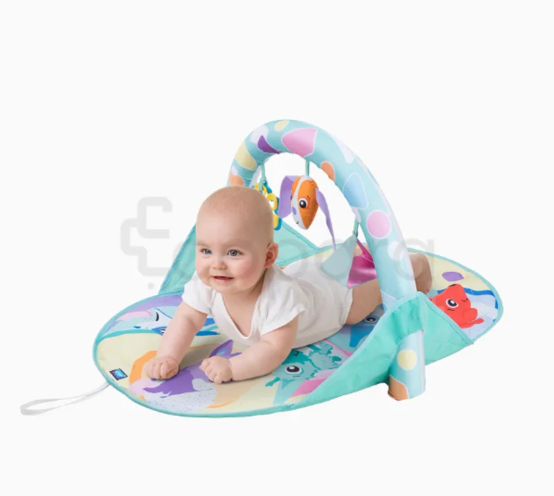 PLAYGRO TAPIS D'EVEIL PRINCESSE