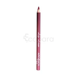 ARCANCIL LIP LINER CRAYON NUMERO 200 PRUNE