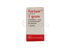 FORTUM 1G BOITE DE 1 INJECTABLE