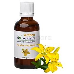 ARTHRO SYNERGIC HUILE ESSENTIELLES ET VEGETALES