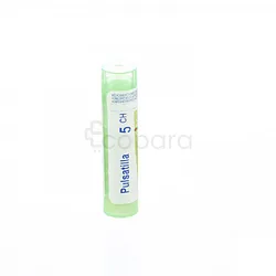 BOIRON PULSATILLA 5CH TUBE
