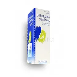 ORTHOSIPHON STAMINEUS TEINTURE MERE 125ML