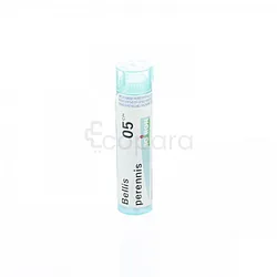BOIRON BELLIS PERENIS 5CH TUBE