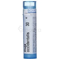 BOIRON THUYA OCCIDENTALI 30CH TUBE
