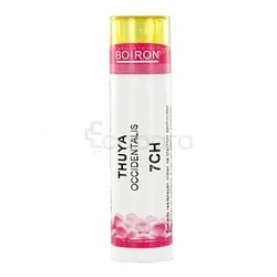 BOIRON THUYA OCCIDENTALI 7CH DOSE