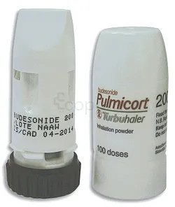 PULMICORT TURBUHALER AE 200µG 100 DOSES AEROSOL