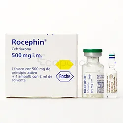 ROCEPHINE 500MG BOITE DE 1 INJECTABLE IM