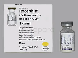 ROCEPHINE 1G BOITE DE 1 INJECTABLE IM