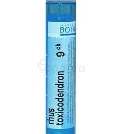 BOIRON RHUS TOXICODENDRON 9CH TUBE
