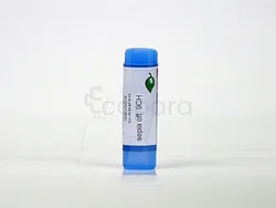 BOIRON SEPIA OFFICINALIS 9CH DOSE