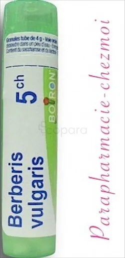 BOIRON BERBERIS VULGARIS 5CH TUBE