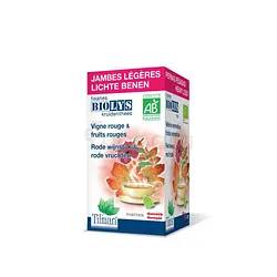 BIOLYS TEA JAMBES LOURDES (HEAVY LEGS) BOITE DE 20