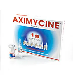 AXIMYCINE 1G BOITE DE 6 INJECTABLE