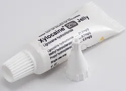 XYLOCAINE VISQUEUSE 100G 2% GEL
