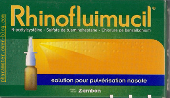RHINOFLUIMUCIL SPRAY NASALE