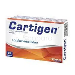 CARTIGEN BOITE DE 20 GELULES