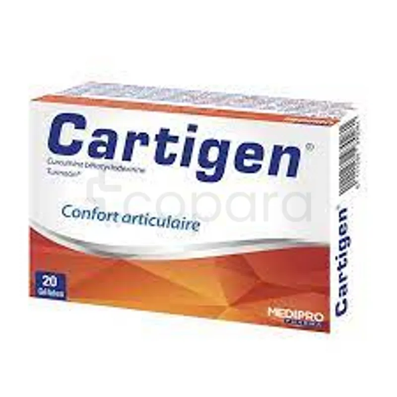 CARTIGEN BOITE DE 20 GELULES