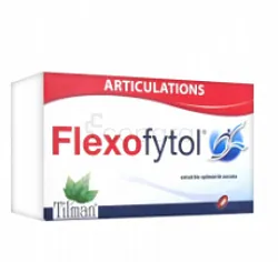FLEXOFYTOL BOITE DE 30 COMPRIMES