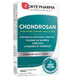 CHONDROSAN BOITE DE 30 GELULES
