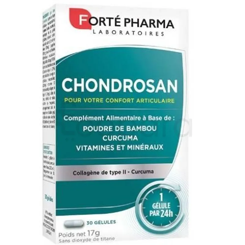 CHONDROSAN BOITE DE 30 GELULES