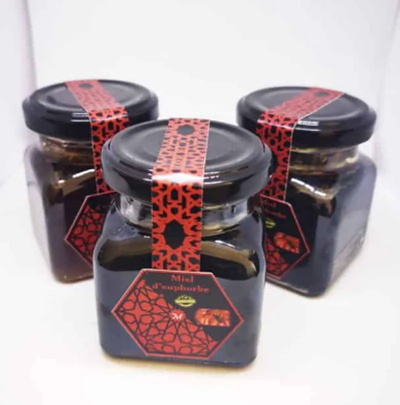 MIELII MIEL D'EUPHORBE 500G