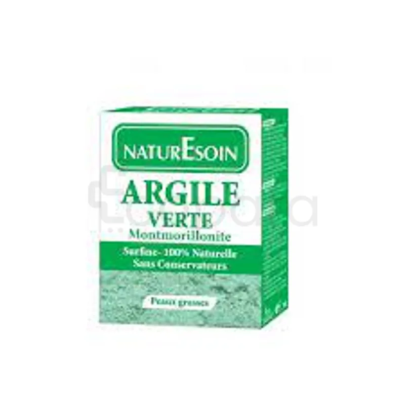 NATURESOIN ARGILE VERTE 100G