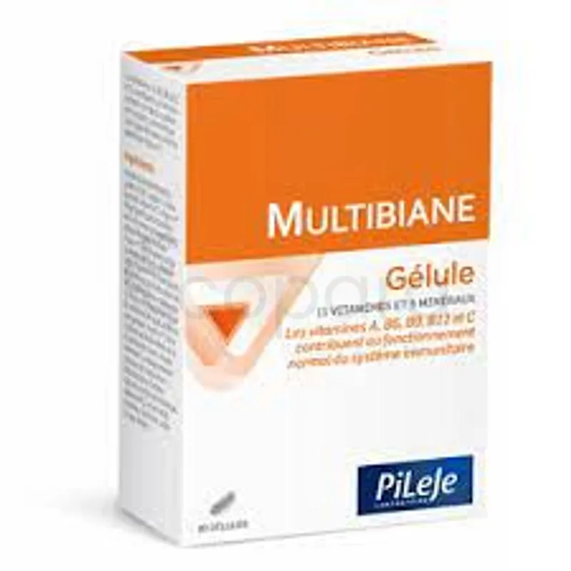 PILEJE MULTIBIANE BOITE DE 30 GELULES