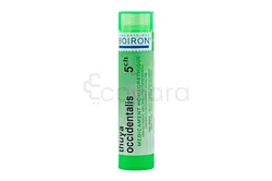 BOIRON THUYA OCCIDENTALI 5CH TUBE